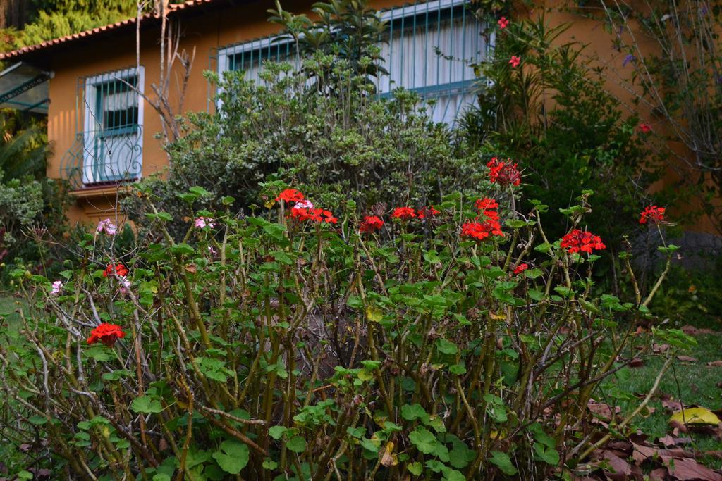 Pousada Amoedo Petrópolis 외부 사진