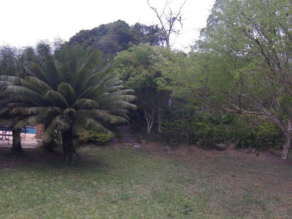 Pousada Amoedo Petrópolis 외부 사진
