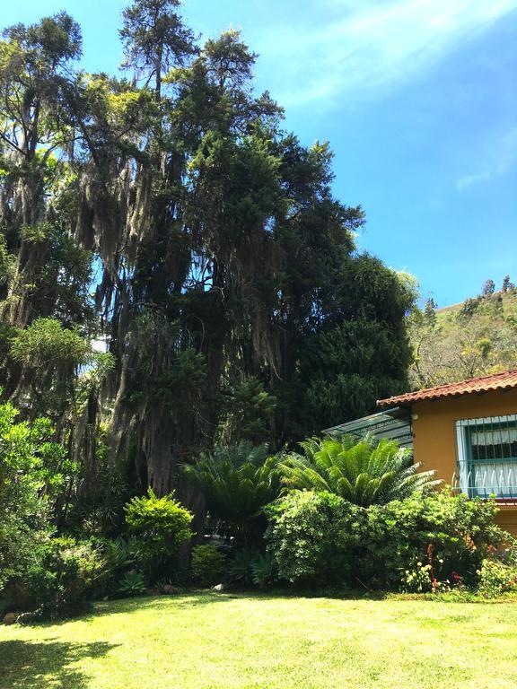 Pousada Amoedo Petrópolis 외부 사진